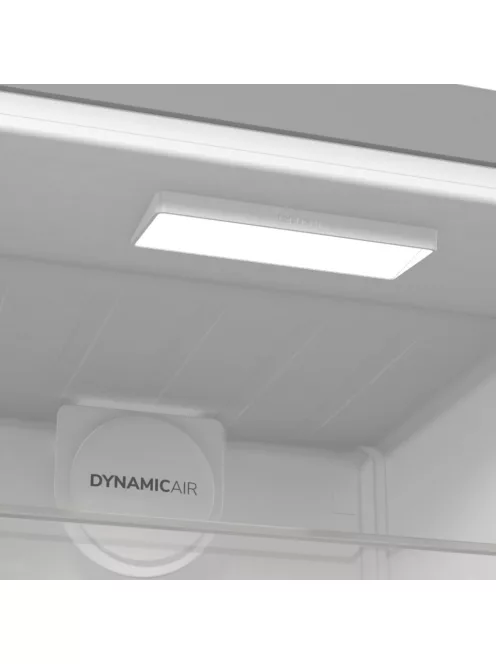 Gorenje R619EAXL6 Egyajtós hűtő