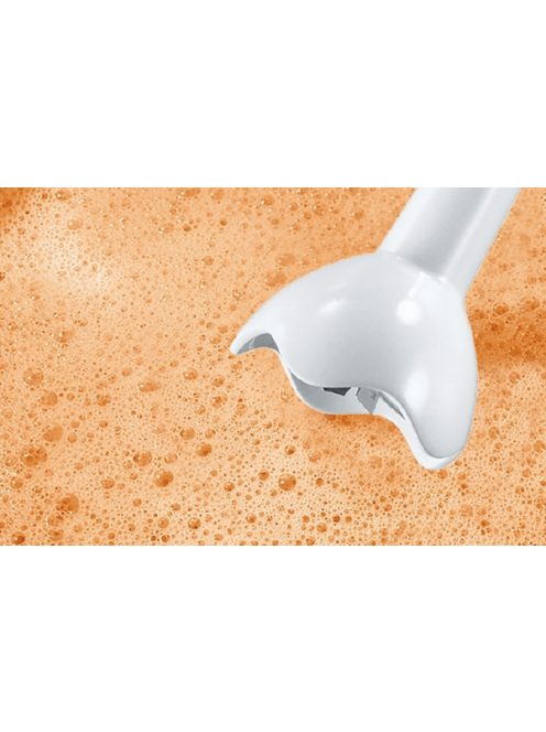 Bosch Msm6B100 Botmixer