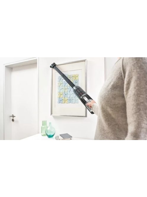 Bosch Bbh3Zoo28 Rúdporszívó